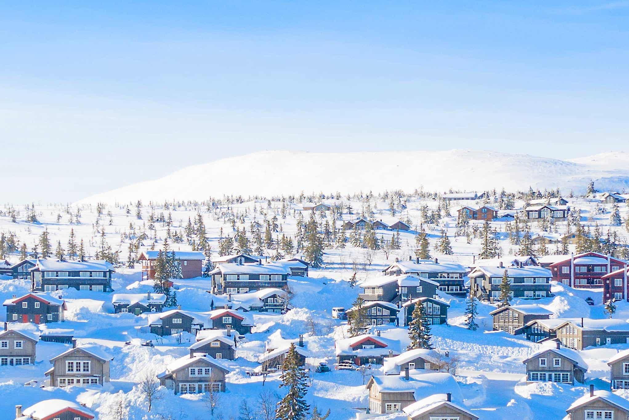 Fjellrypa