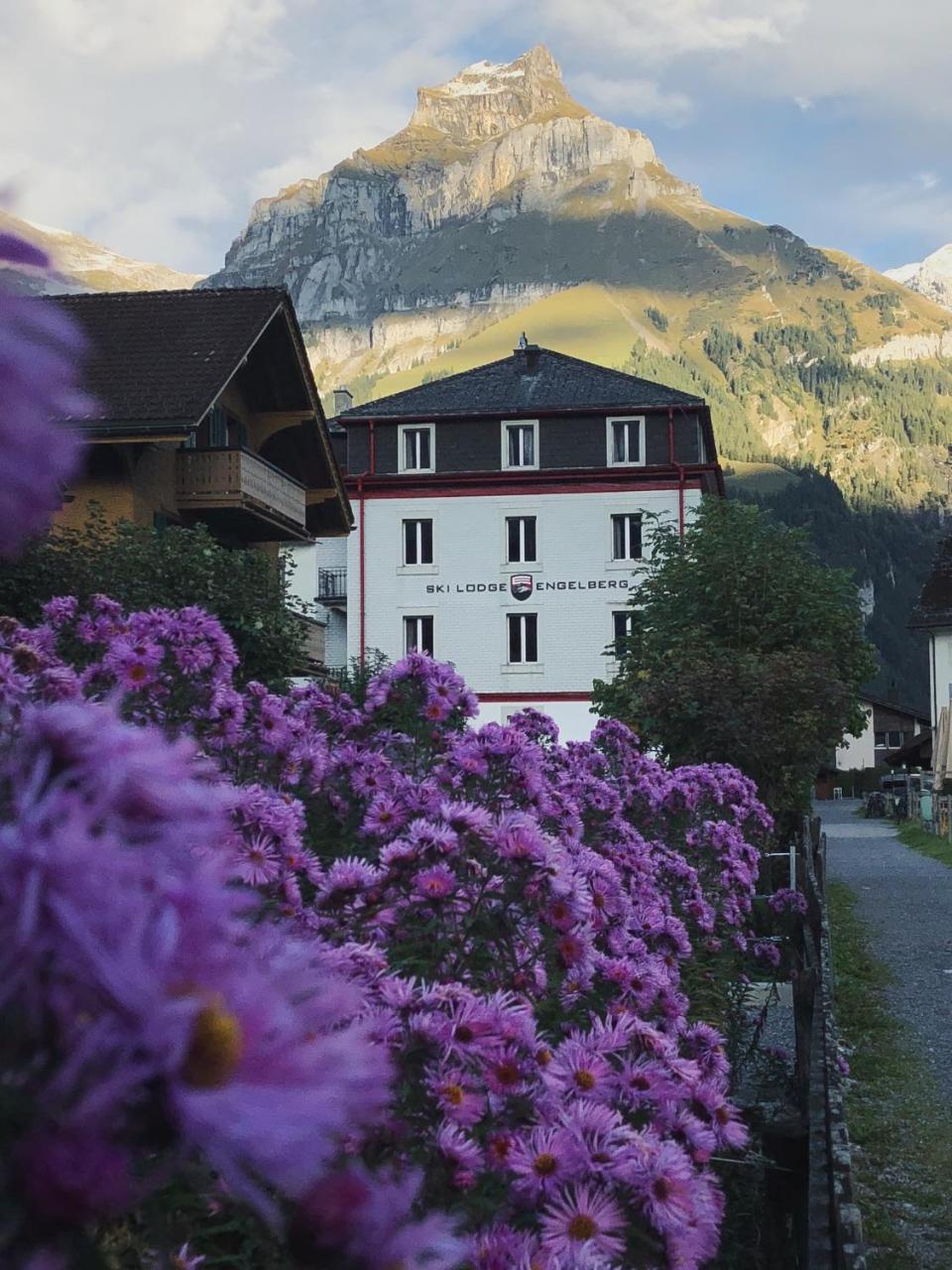 Skilodge - Engelberg