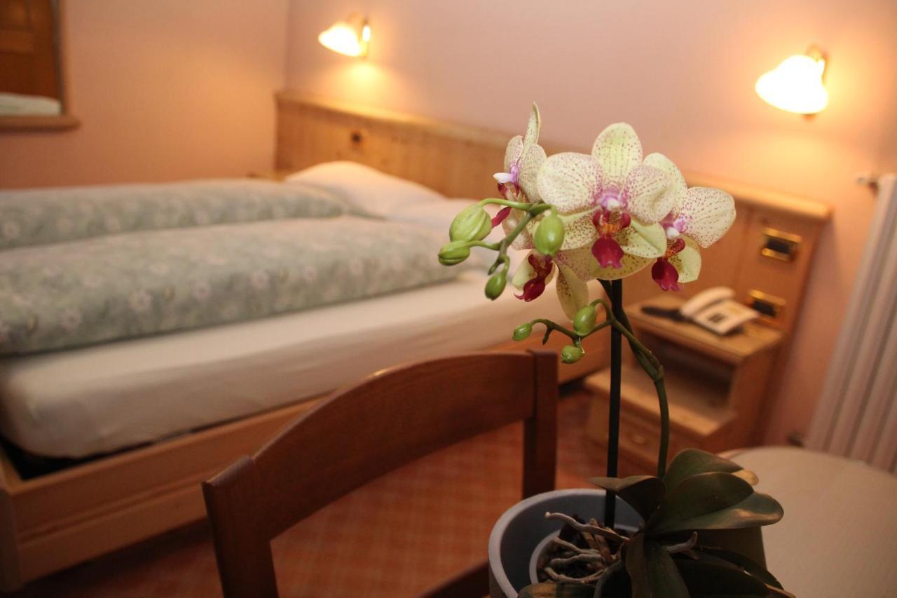 Hotel Caravasc