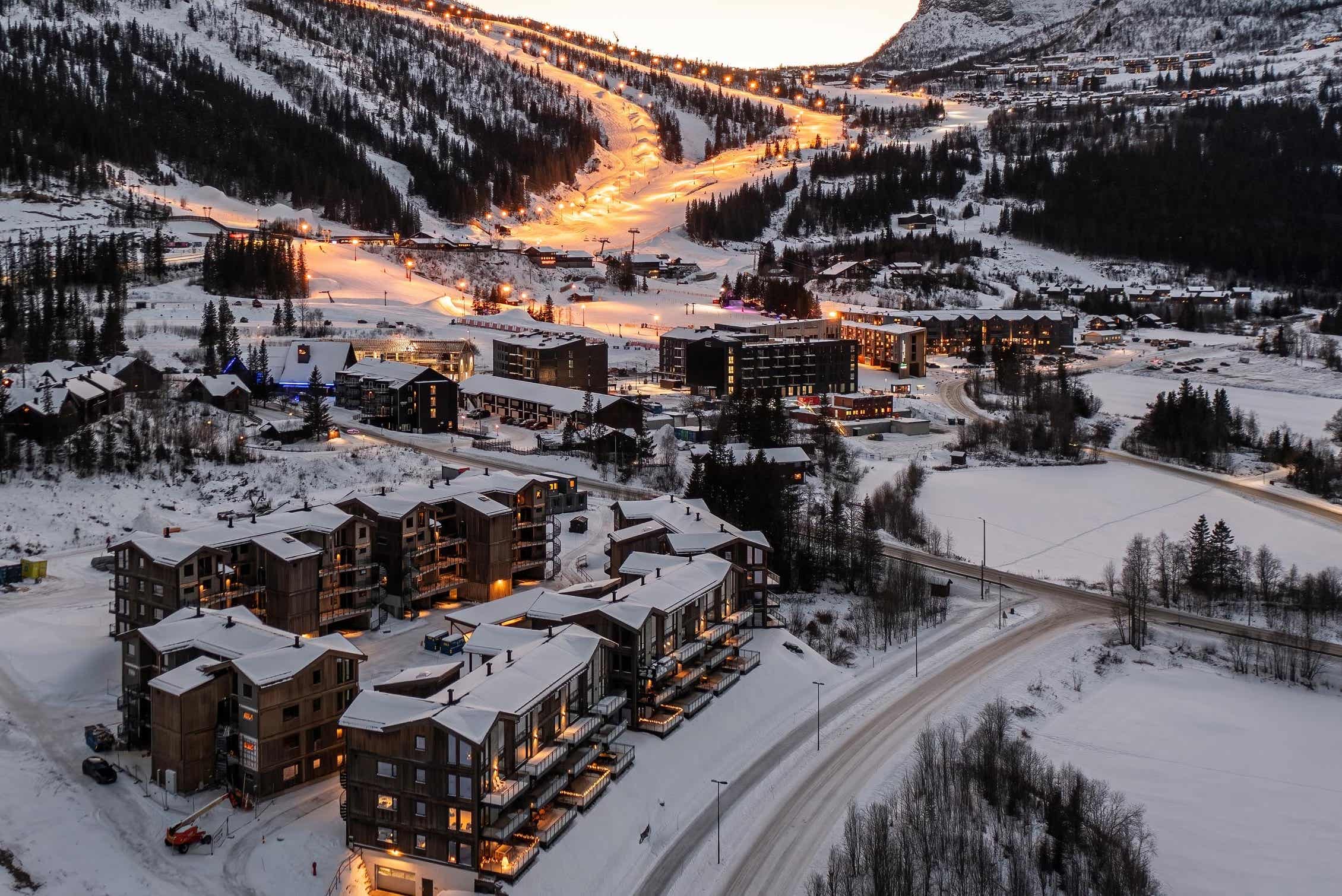 Fjellnest