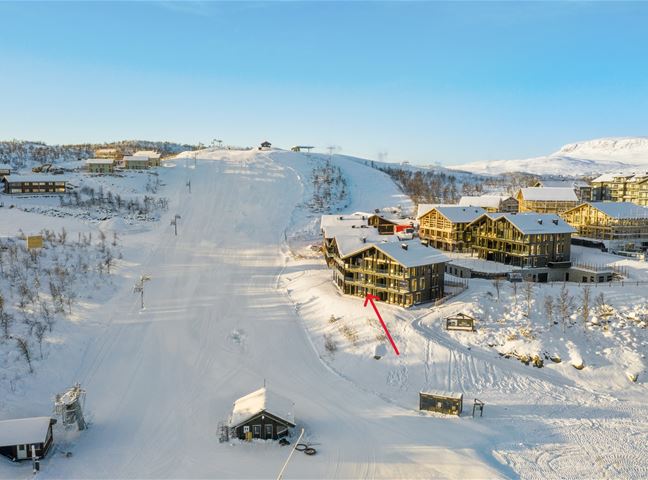 Kikut Alpine Lodge 9103