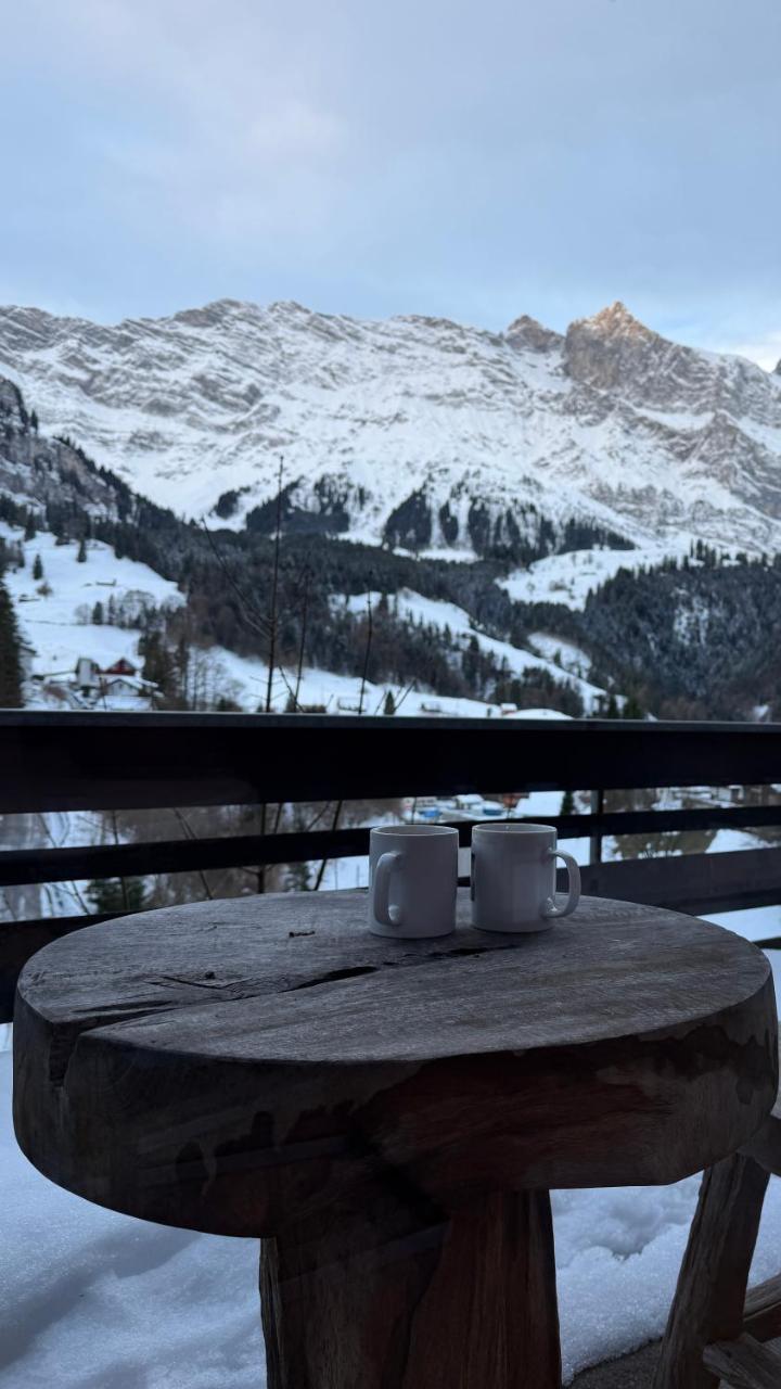 Chalet Engelberg Mountain View