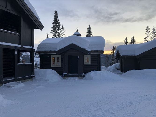 Bjønnliskardet 25