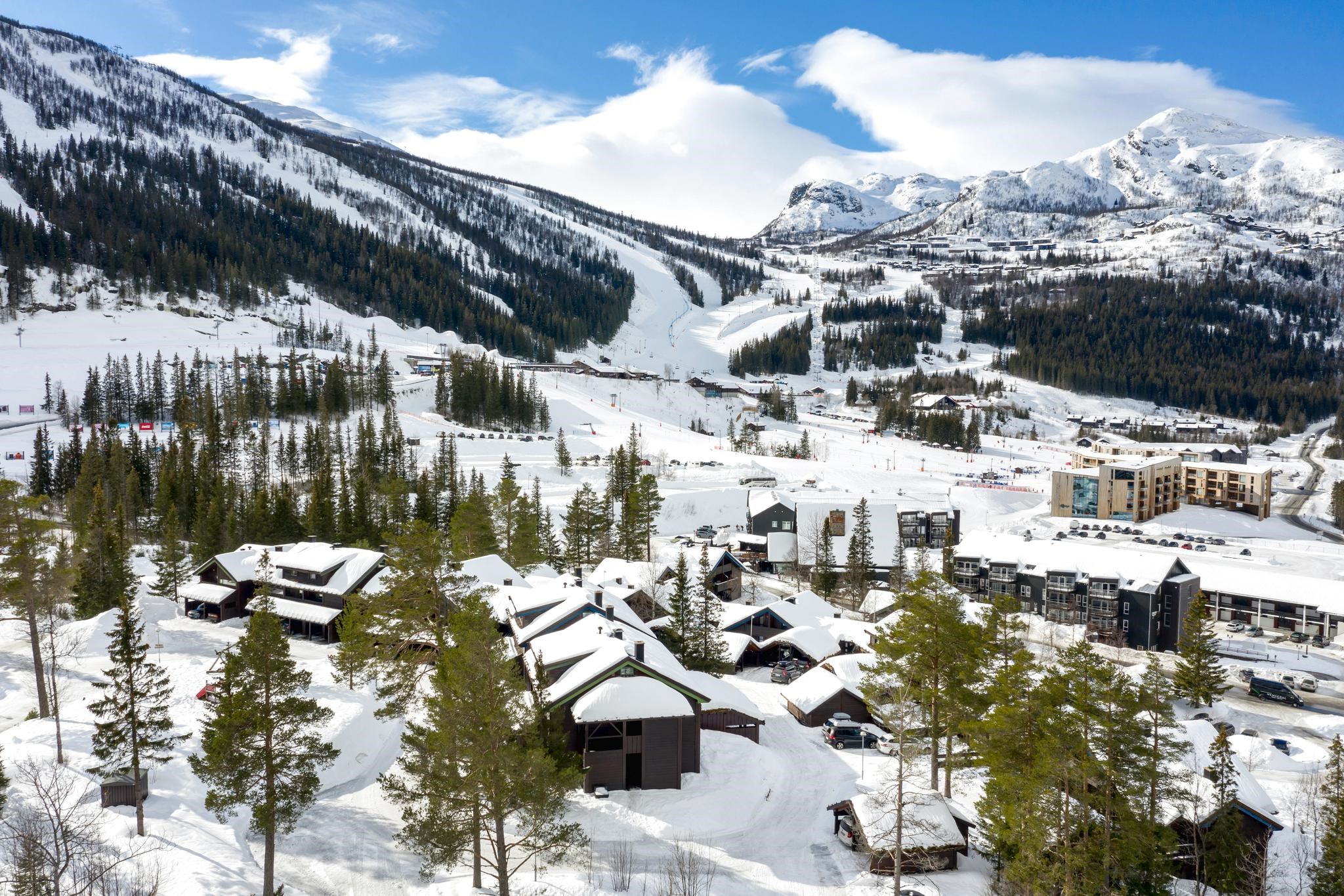 Alpin Apartment D