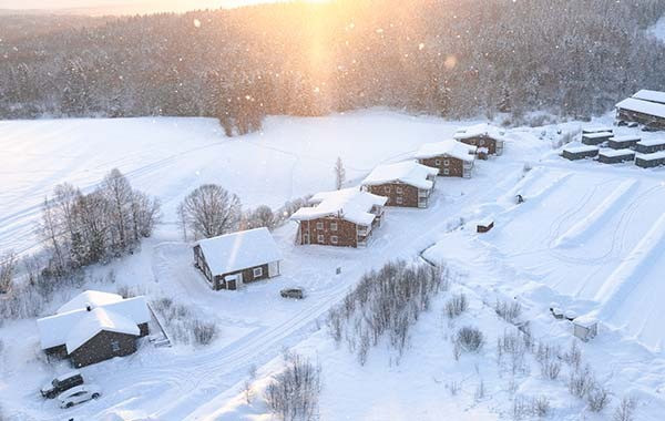 Skogsbrovägen