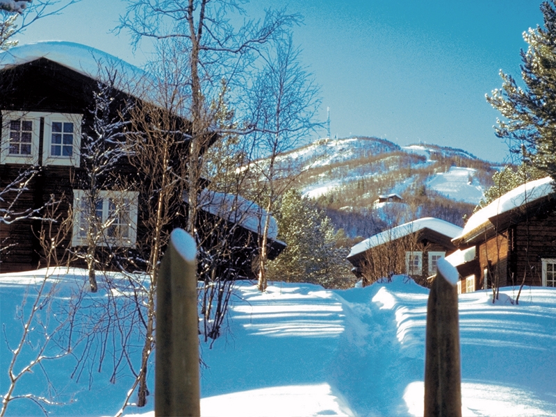 I et hyggeligt hytteområde beliggende omkring Bardøla Hotel ligger i alt 23 tømmerhytter. Her får I rolige omgivelser, der indbyder til leg og hygge i sneen for hele familien. Området ligger i et lille skovområde og emmer af ægte norsk fjeldhygge. I kan tage skibussen til liften, som stopper lige ved hotellet.