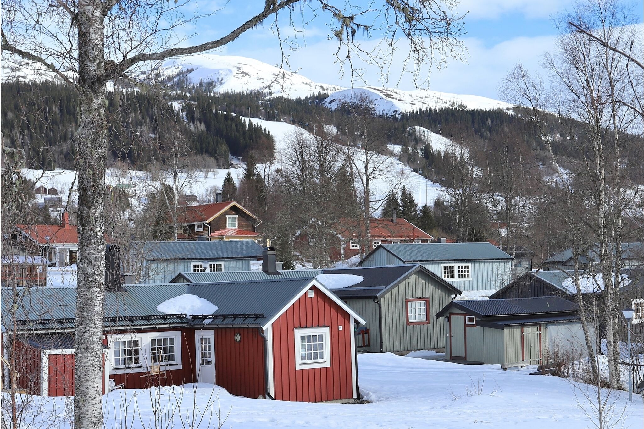 Forsa Fjällby