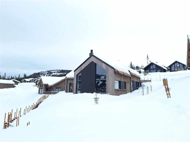 Myrsetervegen 100 er en flot og nybygget hytte op Kvitfjell Varden med høj standard. Hytten har en god varm atmosfære med alle faciliteter tilgængelige for en god ferie med familie og venner. Her kan I nyde solrige dage på pisterne og I kan hygge  jer foran pejsen på de kolde vinteraftener. Der er ski-in/ ski-out. Varden er Kvitfjels mest familievenlige side med brede grønne og blå løjper, området er perfekt for hele familien. En ny lift knytter Varden med Vestsiden og en lift går til toppen af den nye fjellside. Hytten er på 121 m2 med 3 soveværelser og 2 badeværelser. Der desuden en stue med pejs, TV og sofa. Veludstyret køkken med køleskab, fryser, opvaskemaskine,  kaffetragt, Nespresso kaffemaskine og komfur. Der er en spiseplads i forbindelse med køkkenet. Yderligere informationer:Wi-fiKæledyr ikke tilladtCheck-in efter kl. 17. 00/ Check-ud senest kl. 11. 00