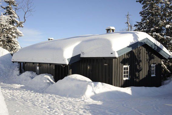 Skurufjellet Hyttegrend
