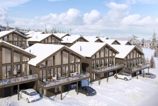 Mountain Chalet 10-12 personer