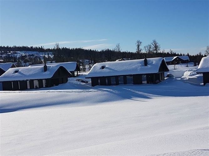 MOSETERVEGEN 736