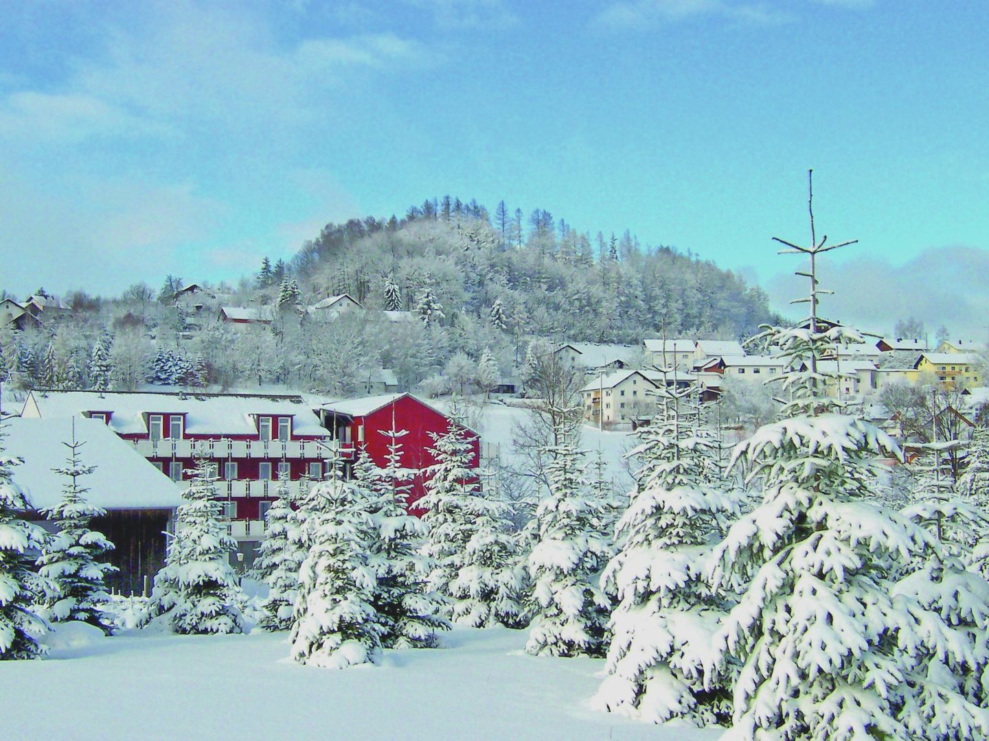 Familienhotel Reiterhof Runding