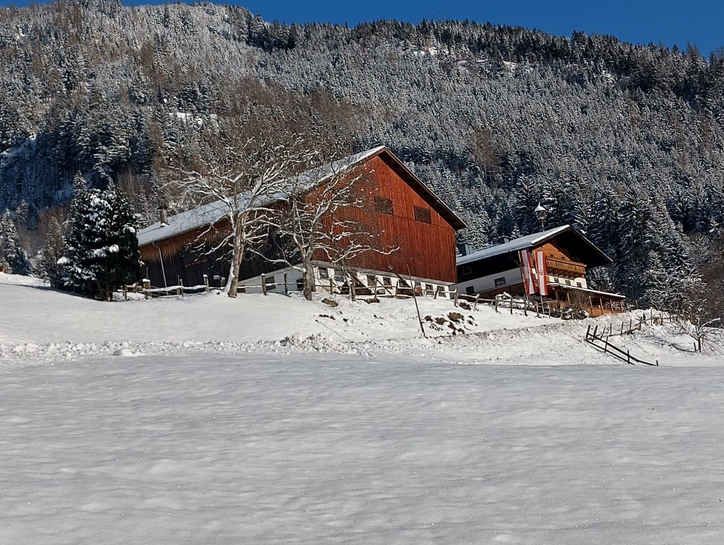 Pension Bamerhof