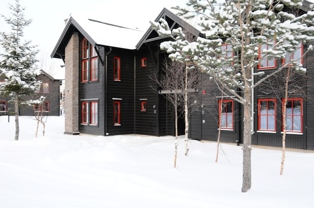 Ski Lodge Village