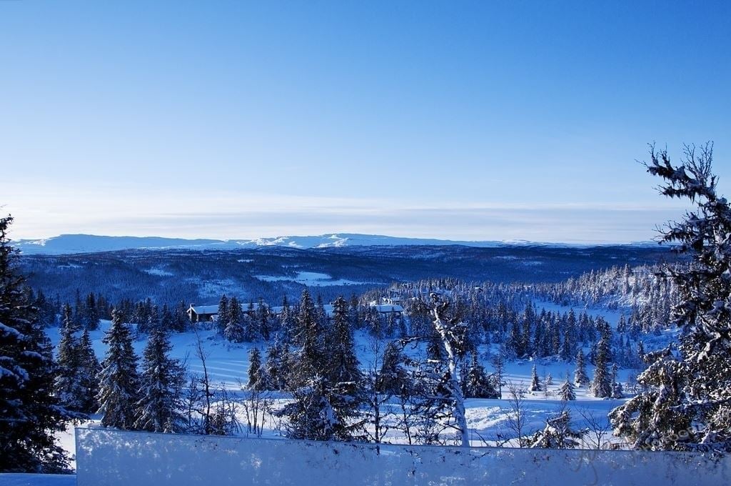 KVITFJELLTOPPEN 37