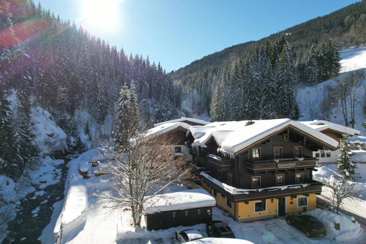 Pension Lederergutl