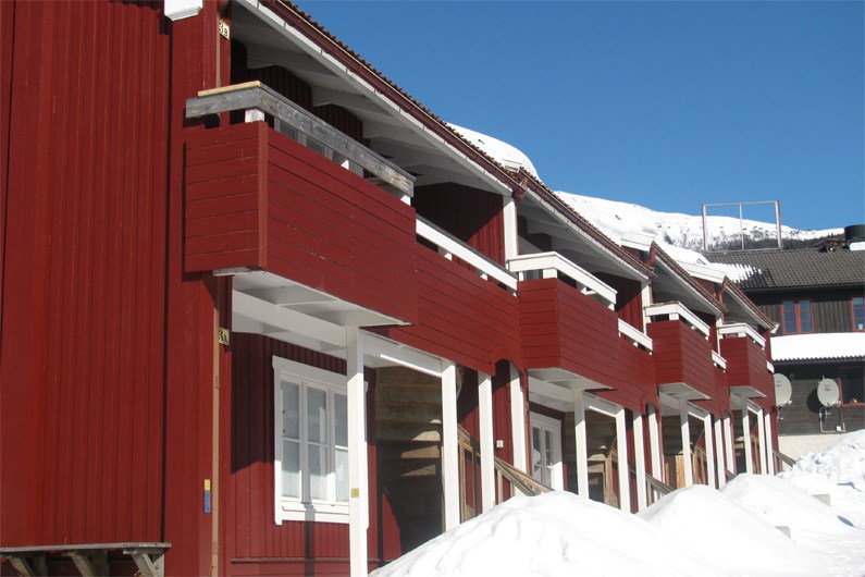Torvtaket