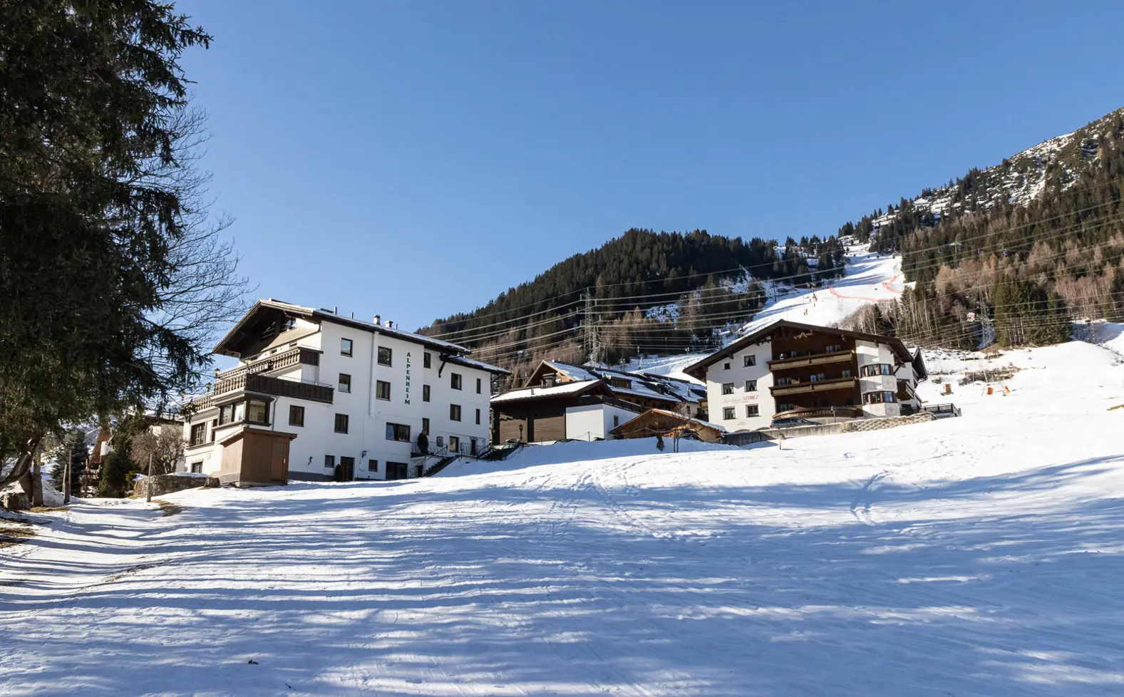 Pension Alpenheim