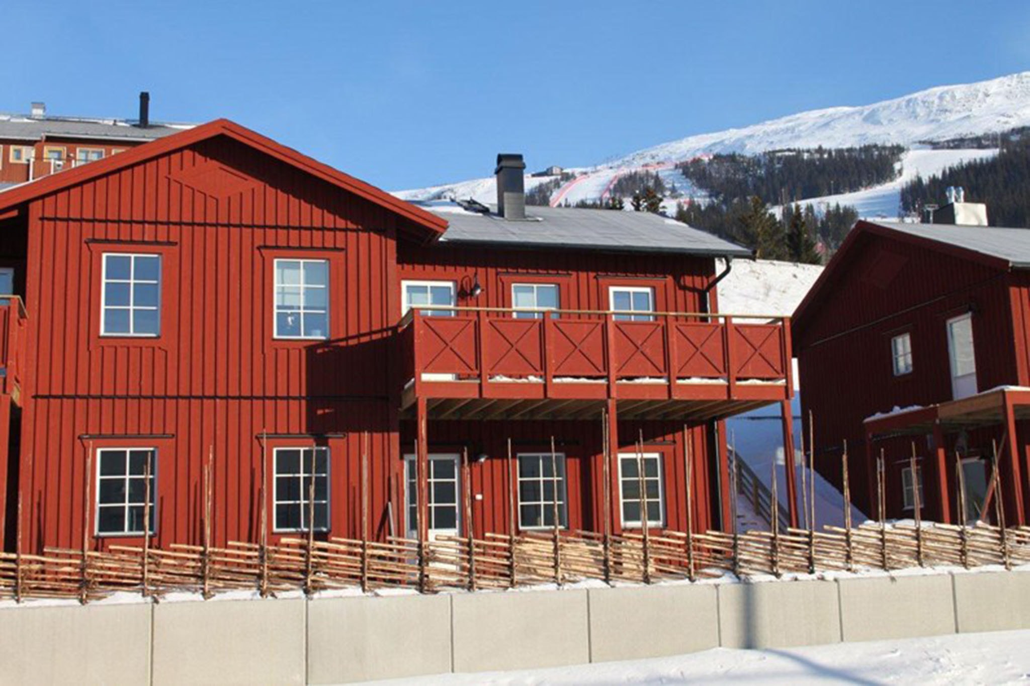 Fjällfoten