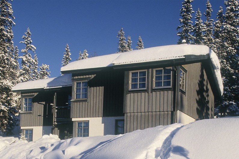 Älgen
