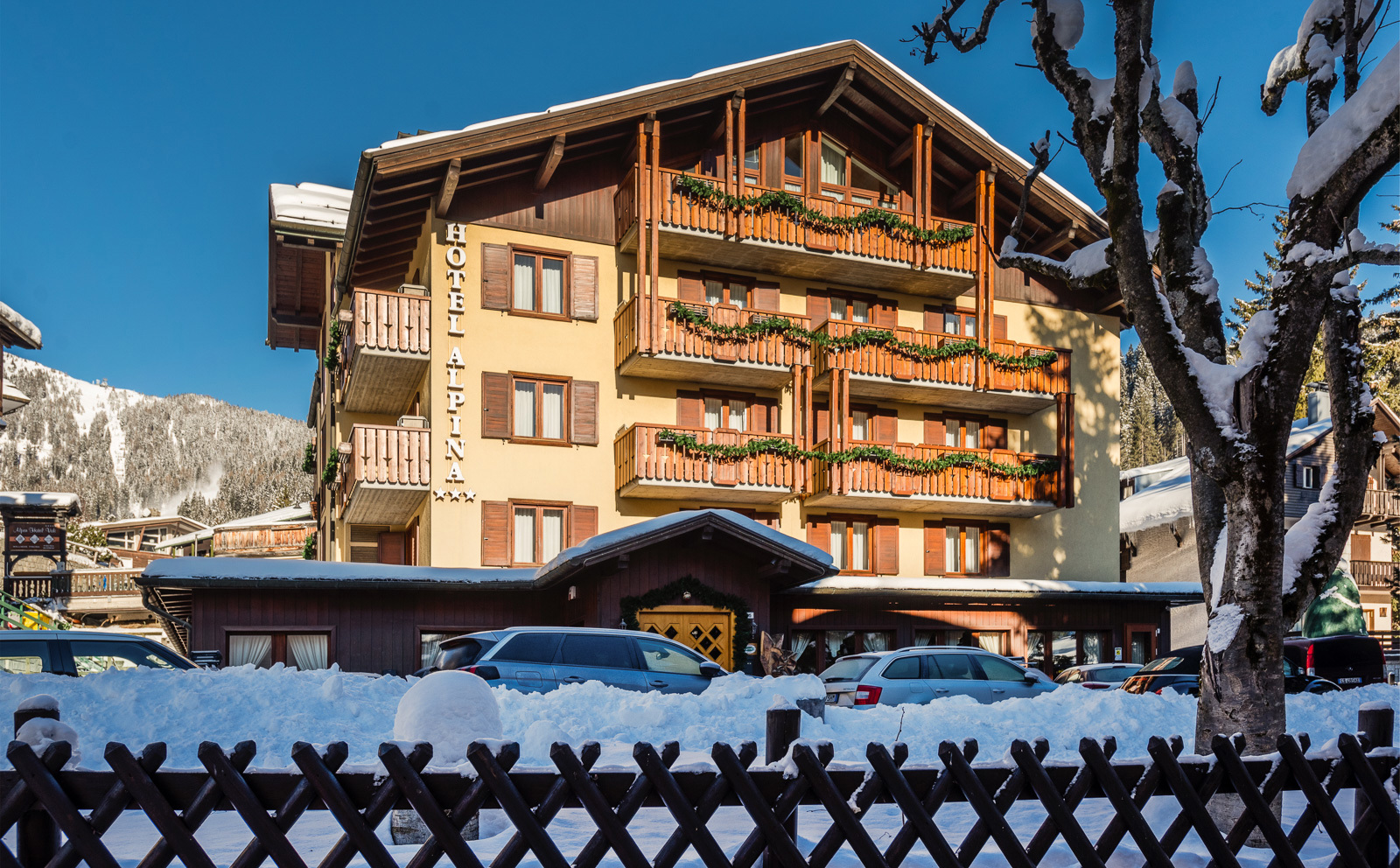 Hotel Alpina