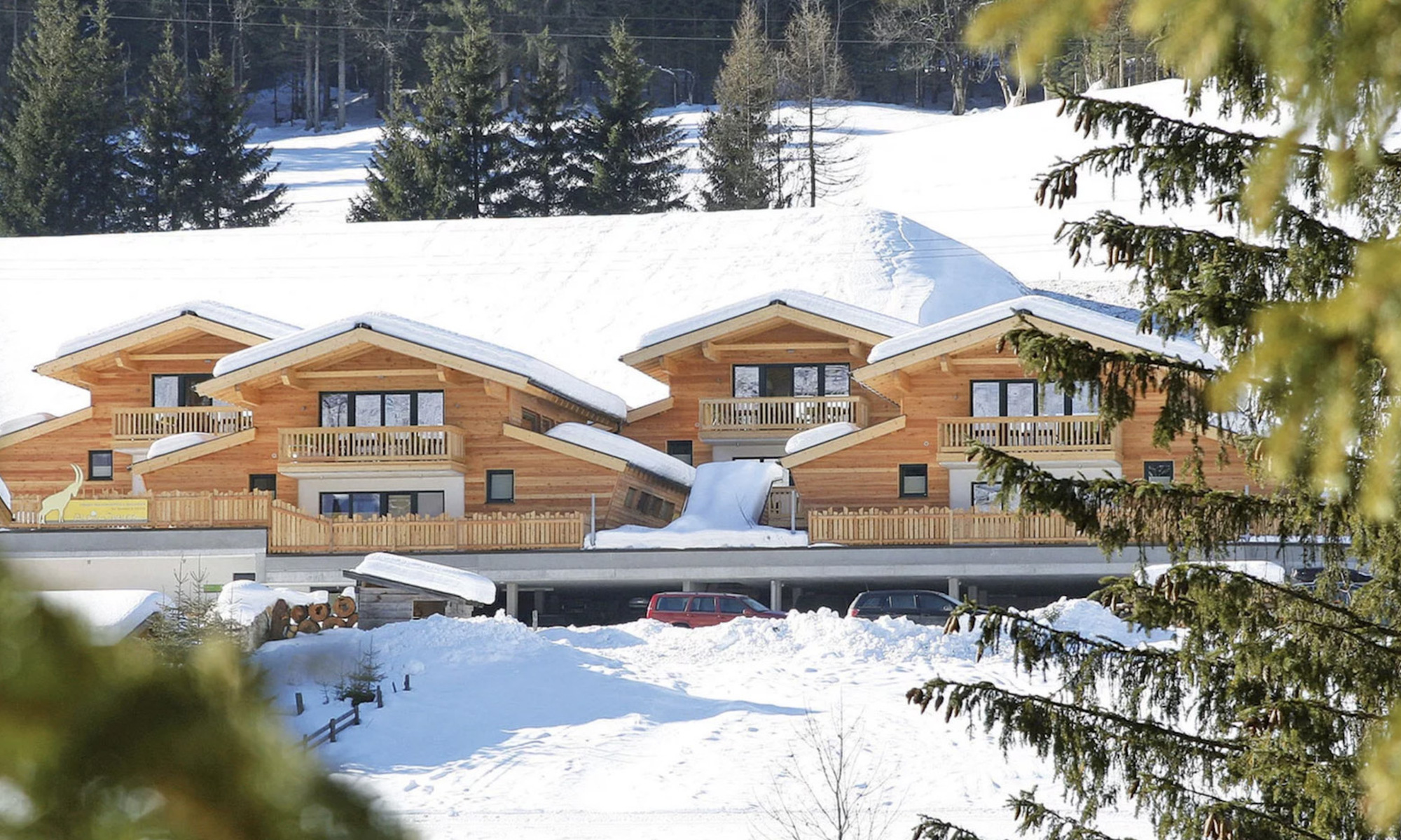 Alpin-Chalet Flachauwinkl