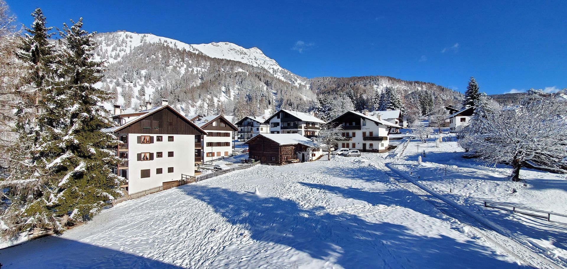 Hotel Stella Alpina