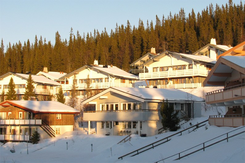 Hermelinen
