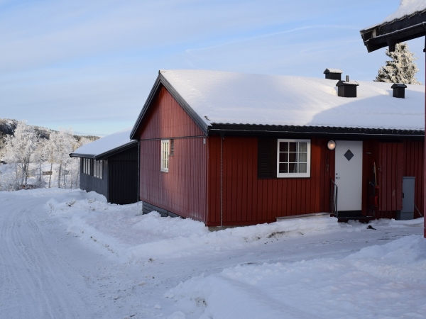 Austlid hytteområde ligger i charmerende og smukke omgivelser en kort tur i bil fra Skeikampen centrum. Der er ca. 4 km fra hytteområdet til skiområdet ved Skeikampen. Ved Skeikampen skicenter er der mulighed for at handle. Ved skicenteret finder I reception, liftkortsalg og skiudlejning. Ved Austlid er langrendssporet næsten lige uden for døren. Her er flere spor, som giver adgang til fantastiske oplevelser i den smukke natur. Skeikampen kan varmt anbefales til at kombinere langrend og alpin.