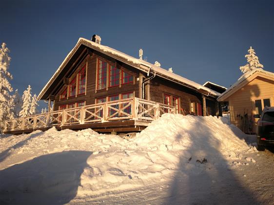 Skogsbyn